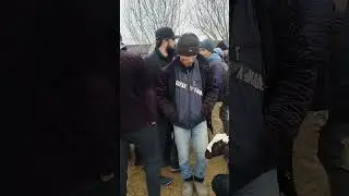 Ona-bola qo'y narxlari.13.01.2024. Navoiy mol bozor.