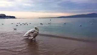 Геленджик 26 декабря. Утро у моря.ЖИВЫЕ ФОТО