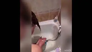 Твердый шампунь и кондиционер, полностью натуральный состав!!!!