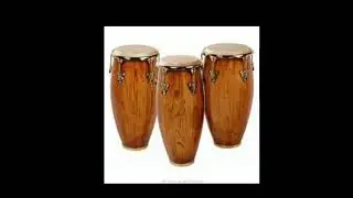 congas with latin percussion #conga #percussion #free #nocopyrightmusic #backgroundmusic