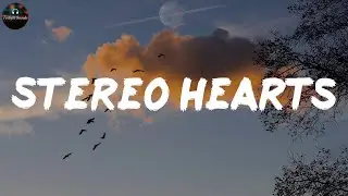 Stereo Hearts - Gym Class Heroes ft. Adam Levine (Lyrics)