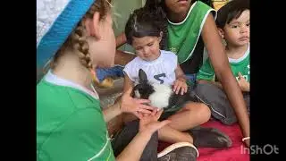 PINE TREE FARM - Infantil 3 AM