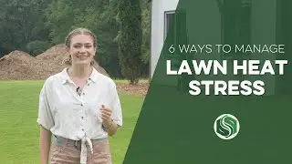 6 Ways to Manage Lawn Heat Stress
