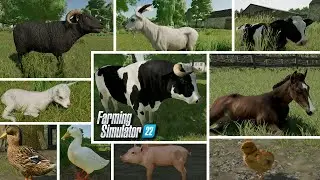Farming Simulator 22 - 🦆Nowe zwierzęta 🐐 do dodania na 🐑 każdej mapie FS22 |
