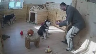 Три девицы и папа Сергей год назад!
