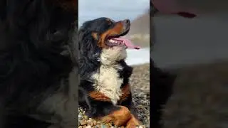 7.02. 2024 Балу на море