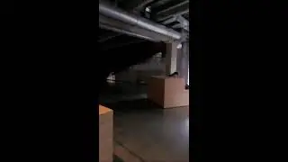 Астроумные - Астрология и Таро в прямом эфире!