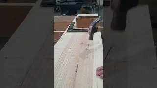 caixaria #music #shorts #pinus #madeiraverde #wood #marceneiro #carpentry #woodwork #marcenaria