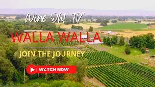 Explore Walla Walla Wine Country: Best Wines, Food, And Adventures In The Pacific Northwest