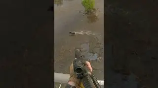 Coming in hot on a big swamp boar. The local croc removed him within 24 hrs. #aerialshooting #croc