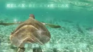 Спокойная музыка для расслабления и сна. #relaxing #relax #спокойнаямузыка #сон #медитация #sleep
