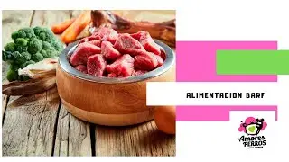 Alimentación Barf.