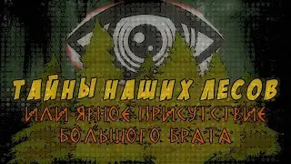Тайны наших лесов или явное присутствие Большого Брата