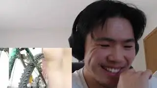 Canadian Reacts to Polish memes with context