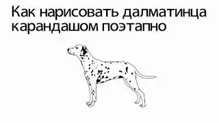 Как нарисовать далматинца карандашом поэтапно