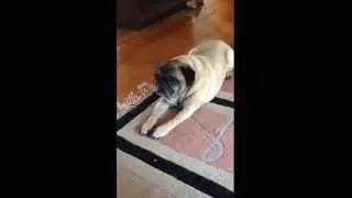 Tired Timmy.