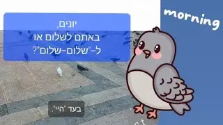 Israel. it's war time. Day 147.IG Diary .