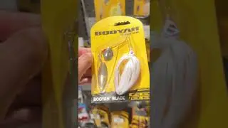 Top 4 best lures for bass fishing this summer