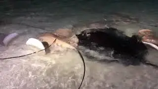 Мальдивы. Отель Sun Island 🌴