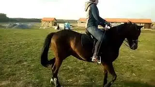 WhatsApp Video 2019 04 30 at 18 49 21