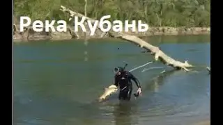 Подводная охота Река Кубань, редкие кадры