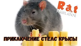 ПРИКЛЮЧЕНИЕ СТЕЛС КРЫСЫ - Rat Simulator