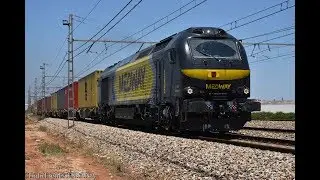 Los mercancías de Valencia