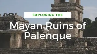 Exploring the Mayan Ruins of Palenque