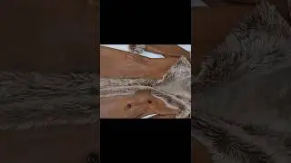 Покраска дублёнки в домашних условиях