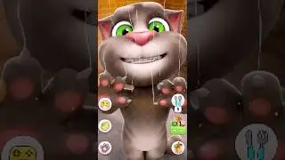 talking Tom react 😺 #cat #shortsfeed