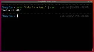 How to print a reverted string in the Ubuntu Linux terminal