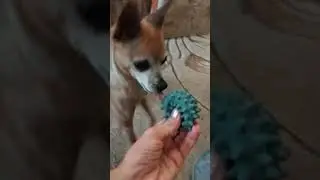 ЗАБЕРАЕТ ВСЕ СВОЁ!