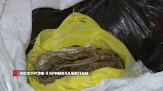 Мастера из Поднебесной: контрафакт лучше оригинала