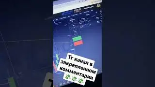 Заработок на pocket option