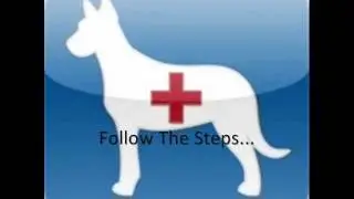 Dog mating Tips
