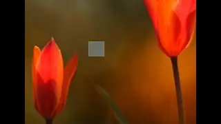 Как создать невидимую папку в Windows / Прозрачная папка на рабочем столе