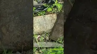 УДАЧНО СХОДИЛ НА КОП. ХОРОШО ЗАРАБОТАЛ 🔥. Металлокоп