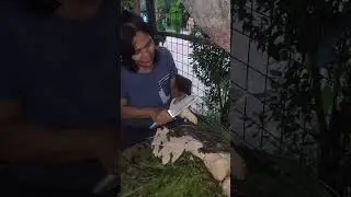 Metal na Naman ulam namin.