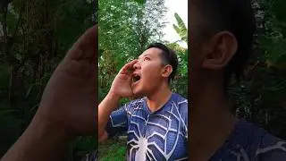 Dikejar Monyet #shorts