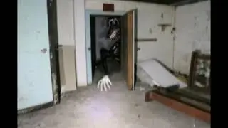 Кто такой Cartoon Dog?