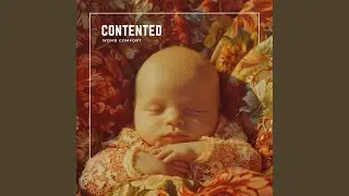 Napping Womb Sounds