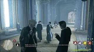Mother isn't happy that her son joined Hufflepuff – Hogwarts Legacy