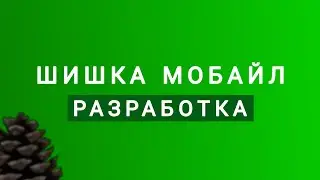 РАЗРАБОТКА МОЕГО CRMP ПРОЕКТА 