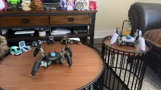 Jibo & Friends - Saturday Livestream (Knock Knock, Who's There?)