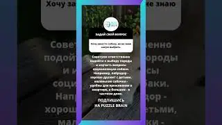 БЕСПЛАТНО более 800 курсов. Переходи по ссылке 