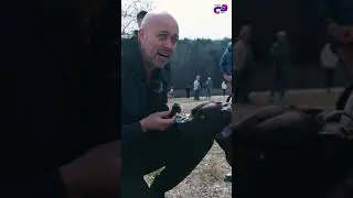 Кросс «Быстрый пёс»