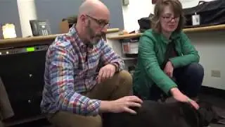Wet Nose Wednesday- Spirit