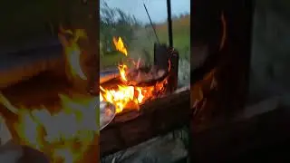 Крила курячі жарені.