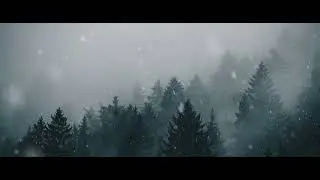 НОВАЯ СБОРКА  опять Кракозябр в Cкайриме (4)