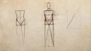 How to Draw the Proportions of the Adult Male || Sycra - TS Archives